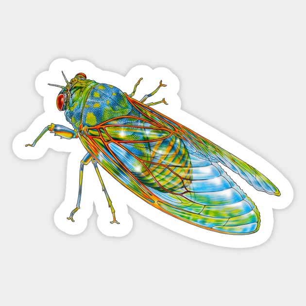 Cicada Sticker by Tim Jeffs Art